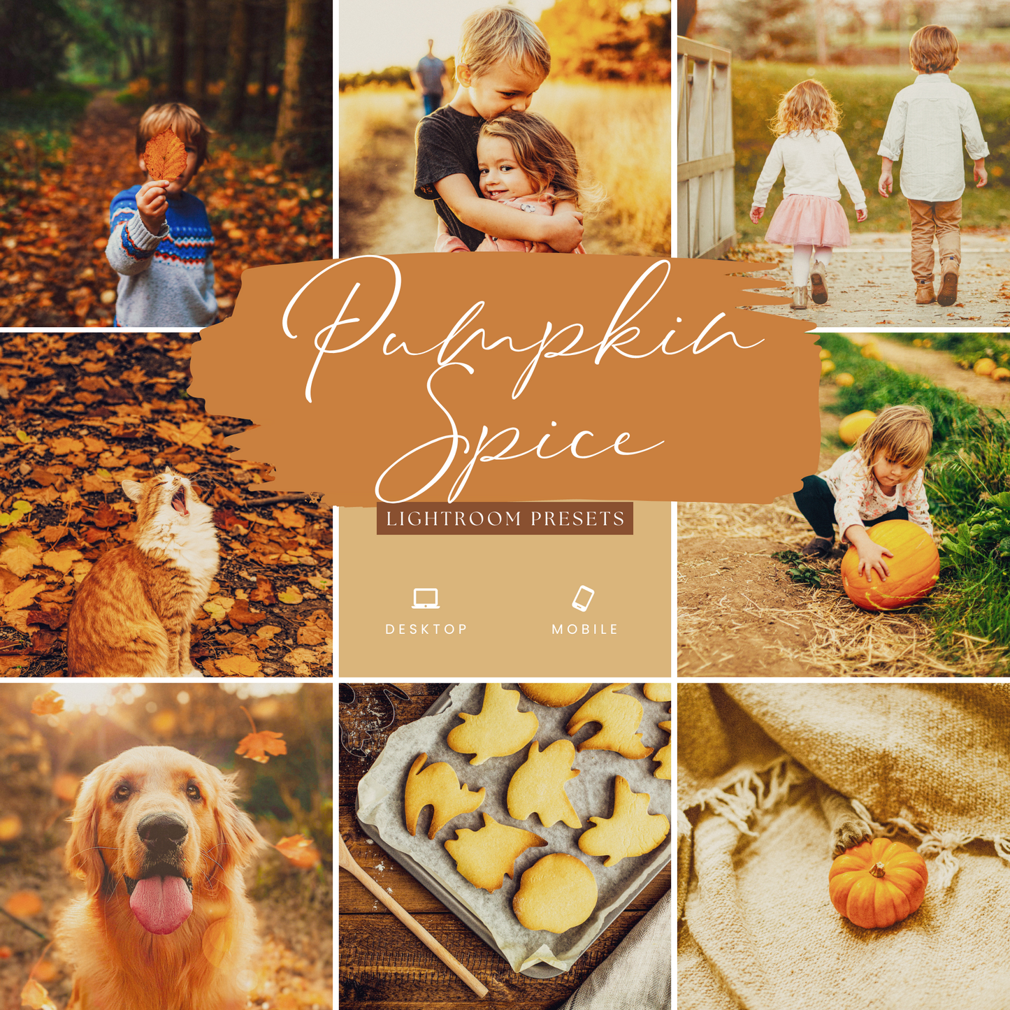 The Pro Pic Bundle